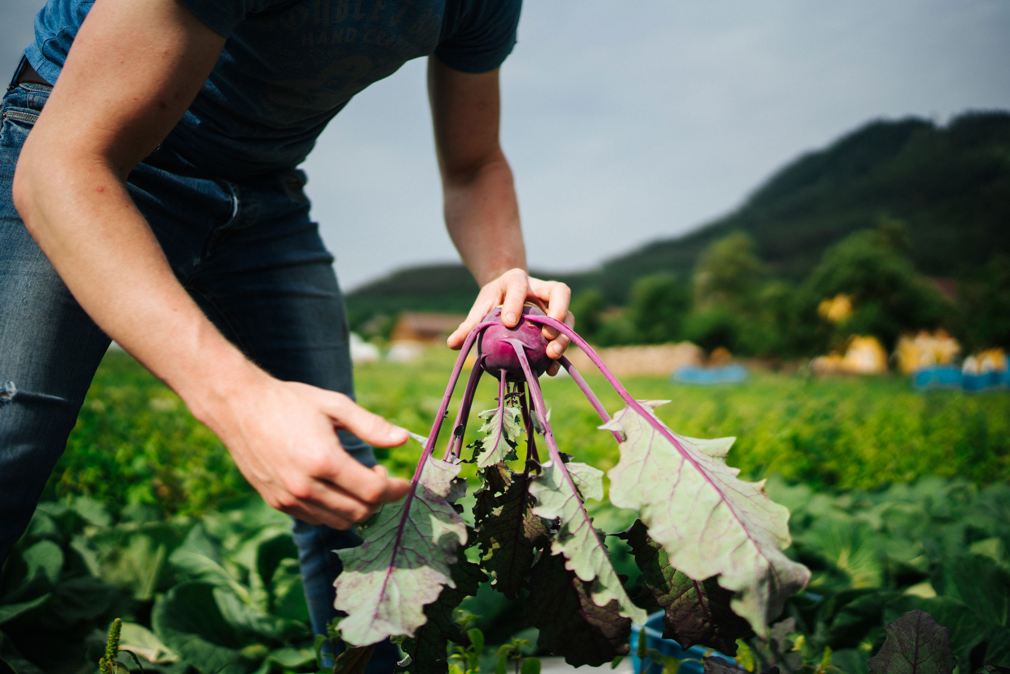TaufrischTeil1-19-Feine-Kueche-Kulterer